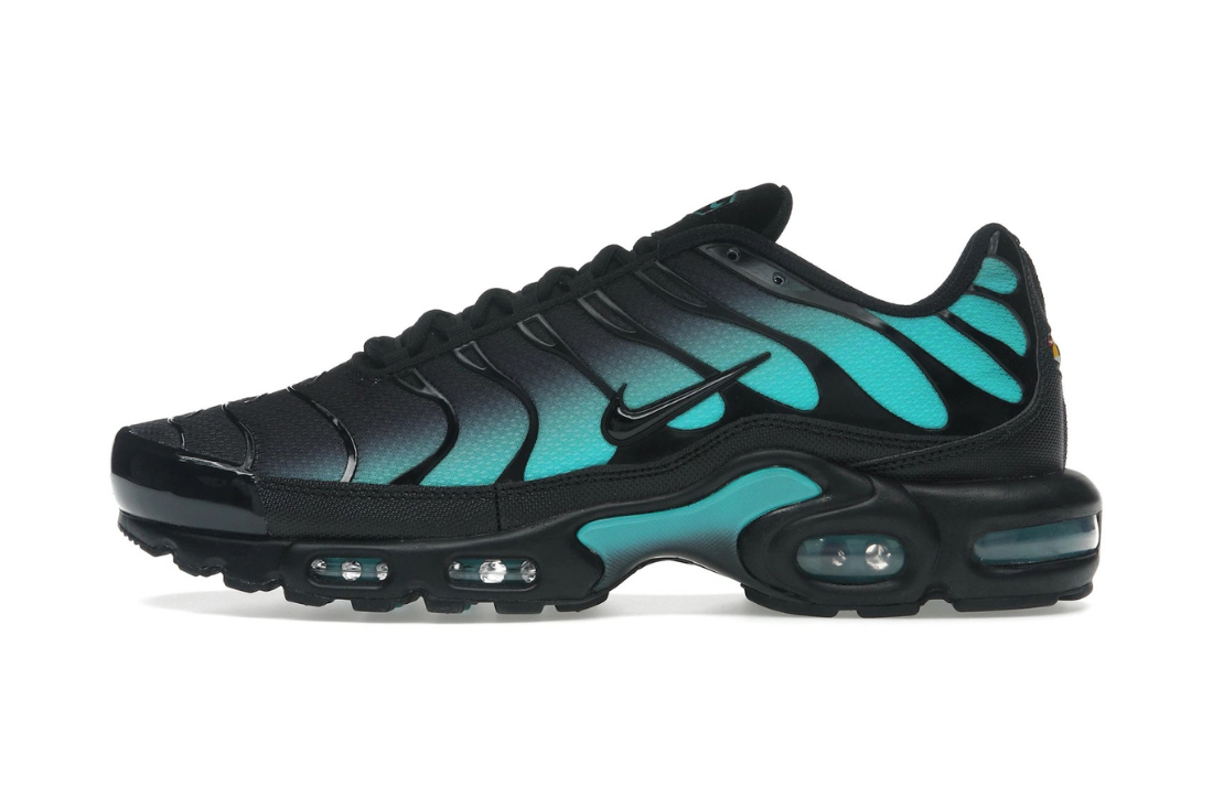 Nike Air Max Plus Black Dusty Cactus