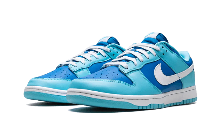Nike Dunk Low Retro Argon