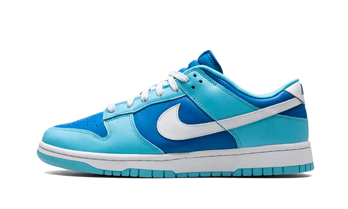 Nike Dunk Low Retro Argon
